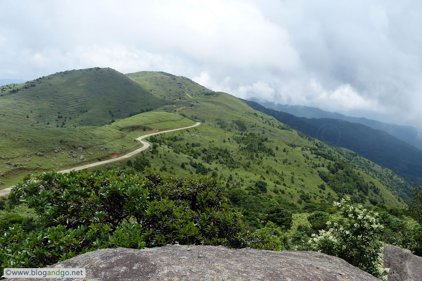 Maclehose 8 - Around post m145 looking east